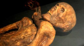 Ötzi | Ecco chi uccise la mummia del Similaun