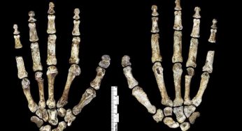 Le scoperte archeologiche più incredibili dell’ultimo decennio