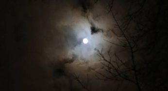 Halloween nell’Antica Roma: la tradizione del mondo dei morti
