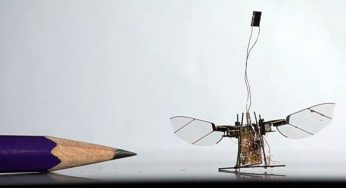La Corea del Sud investe nello sviluppo dei robot insetti