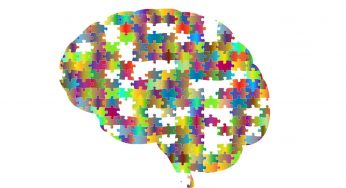 Ecco come nasce un ricordo profondo | I neuroni della somatostatina