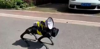strade cani robot