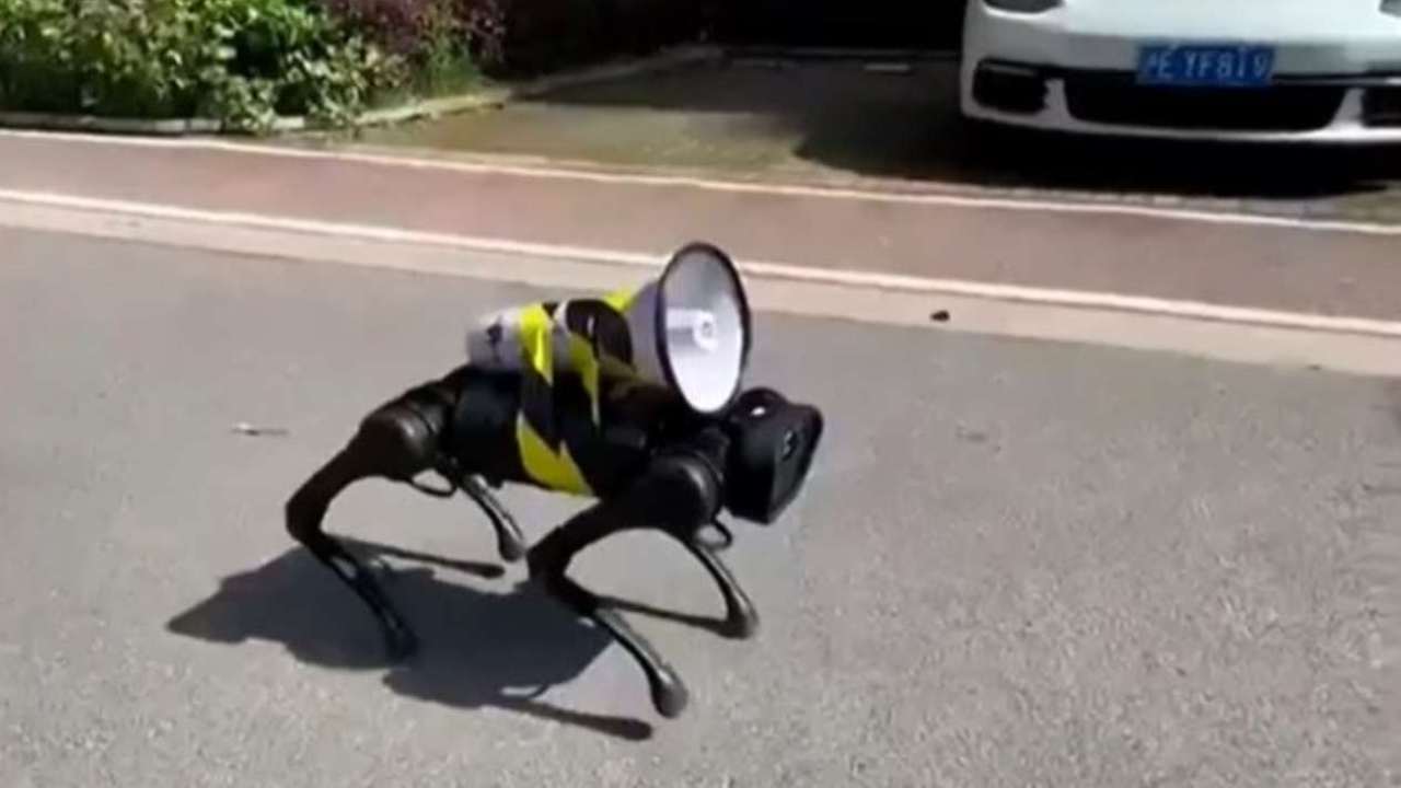 strade cani robot