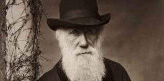 Darwin uccelli