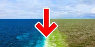 oceani