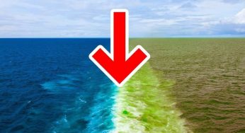 L’incontro tra i due oceani: immagini spettacolari