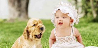 cani bambini