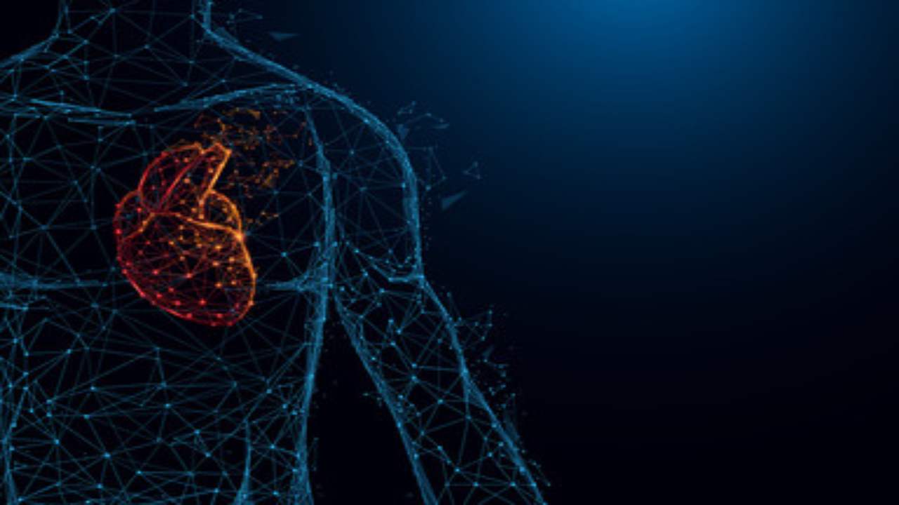 Aritmia e tachicardia: scoperto il meccanismo per auto regolare il ritmo cardiaco del cuore dall’interno