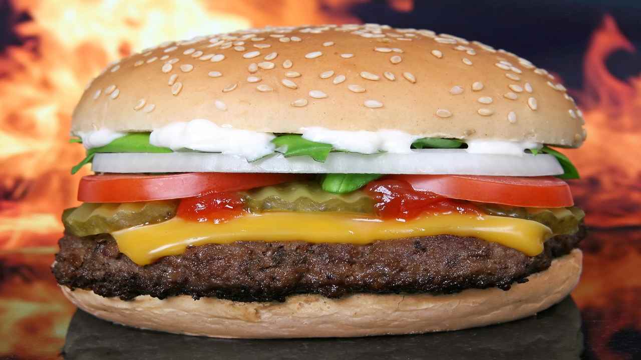 Hamburger come Highlander: non marciscono, ecco perché- curiosauro.it- 200622