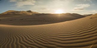 Disegni-Il deserto - (explorationjunkie) -20220521- curiosauro.it