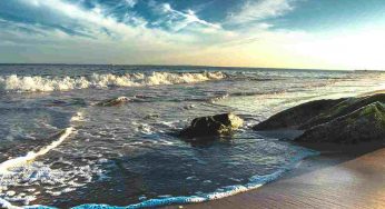 Possono legarsi alle microplastiche con effetti drammatici per la nostra salute