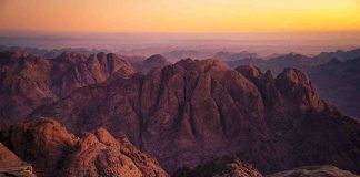 Sinai