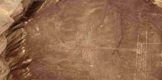 linee tempio