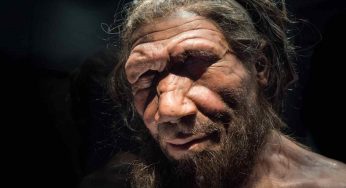Neanderthal | Ecco quanto era popolosa l’Europa di 360.000 anni fa