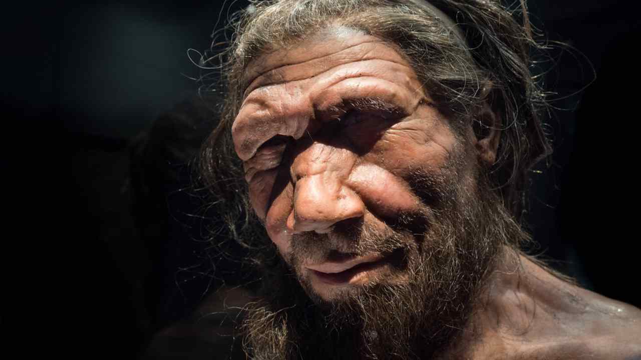 Quando i Neanderthal erano gli unici abitanti dell'Europa... (Commons license) - www.curiosauro.it