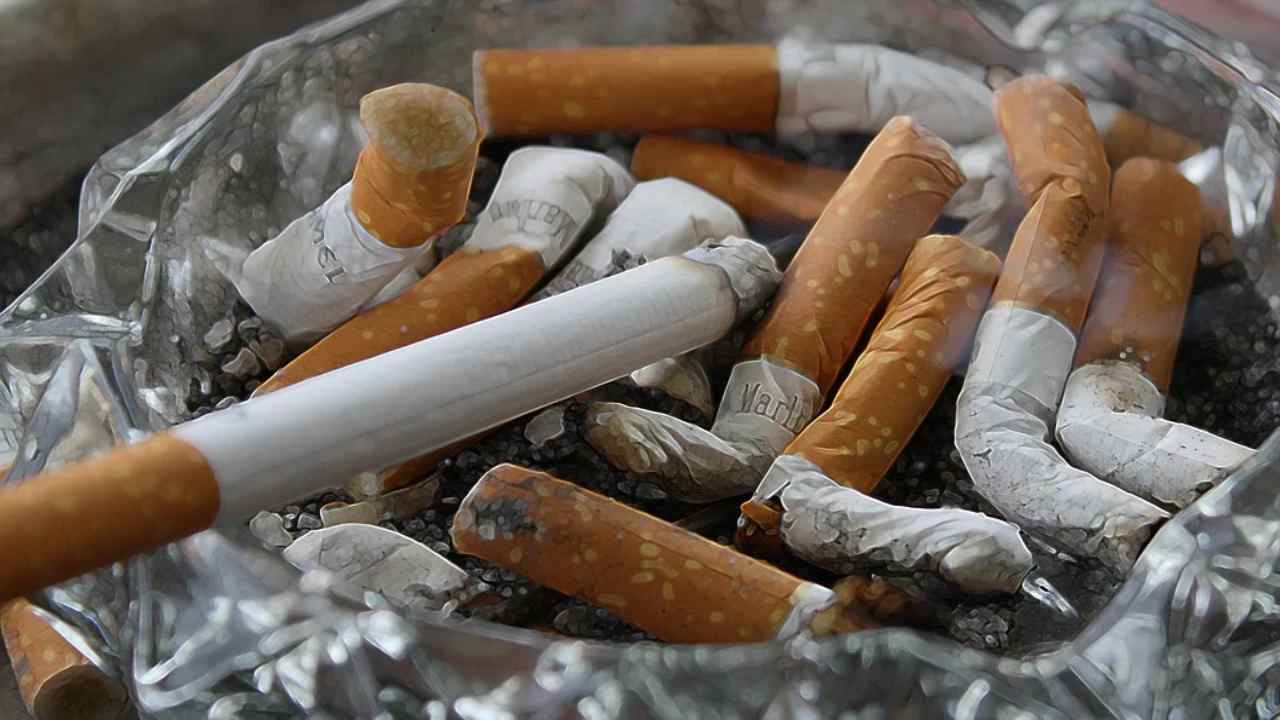 Oggi è la "Giornata mondiale senza tabacco 2022": fumatori in impennata dopo il Covid-curiosauro.it-