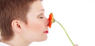 Olfatto il senso più forte dell'uomo www.curiosauro.it