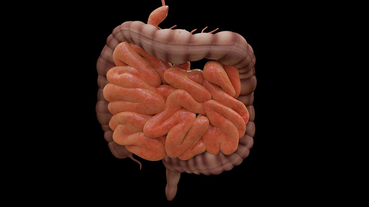 Un "alimento" che ingerisci ogni giorno attaccherebbe il microbiota intestinale- curiosauro.it-09062