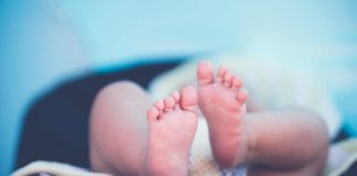 neonato due parole-Il neonato parlante: storia vera o bufala? (Pixabay) - www.curiosauro.it