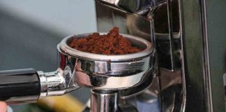 Fondi caffè www.curiosauro.it
