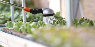 Come annaffi il tuo giardino? Ecco alcuni consigli per farlo nel modo corretto-curiosauro.it- 010622
