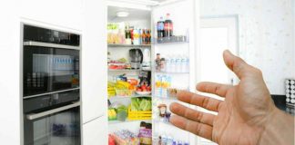frigo - www.curiosauro.it