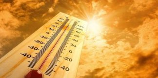 Sottovalutano i danni dell'insolazione e del colpo di sole - (notizieora) - 20220705-www.curiosauro.it