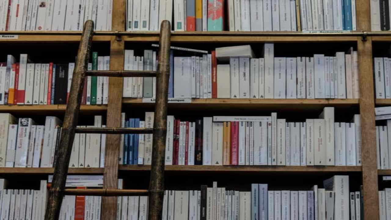 Libri: chi legge di più ha delle capacità diverse- curiosauro.it- 220622