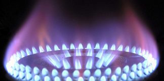 Gas www.curiosauro.it