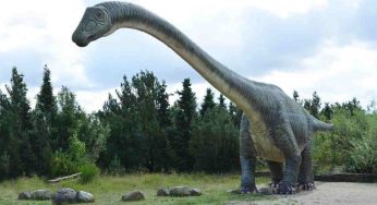 Ce lo avevano anche i dinosauri… Non immagini cosa