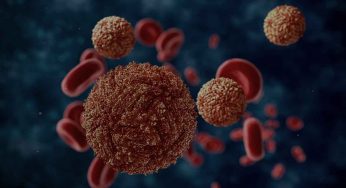 Zika | Il virus che può danneggiare il cervello dei bambini