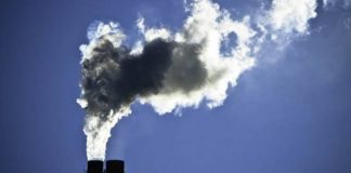 CO2 www.curiosauro.it