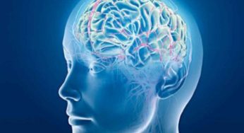 Una scoperta inattesa: l’Alzheimer ha a che fare con il surriscaldamento del cervello