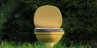 Bagno www.curiosauro.it