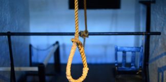 Voce imponente-Il suicidio (pixabay) - 20220730-www.curiosauro.it
