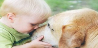 L'amore incondizionato tra l'uomo e il cane - (amoreaquattrozampe) - 20220710-www.curiosauro.it