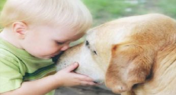 Per non separarsi dal cane si salvò da una delle più grandi stragi della storia: scopriamo di chi stiamo parlando