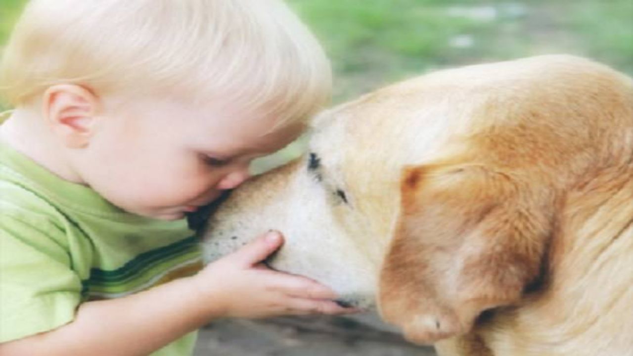 L'amore incondizionato tra l'uomo e il cane - (amoreaquattrozampe) - 20220710-www.curiosauro.it