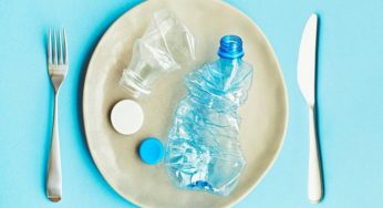 Il nostro corpo è pieno di plastica, ne mangiamo in continuazione senza accorgercene