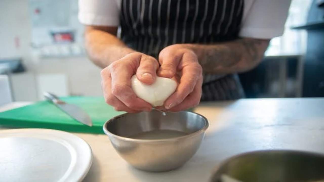 Mozzarella di Bufala | Da un test sulla qualità scoperta la migliore - curiosauro.it- 030722