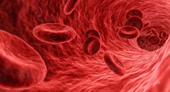 Purificare il sangue per migliorare la propria salute | Si fa così