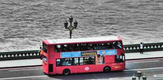 decker bus - www.curiosauro.it
