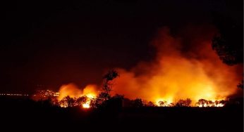 Estate e incendi | Vi diciamo chi li appicca davvero