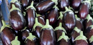 Metodi per cucinare le melanzane