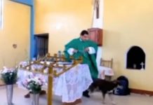 Sacerdote prende a calci un cane in chiesa
