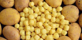 Gnocchi