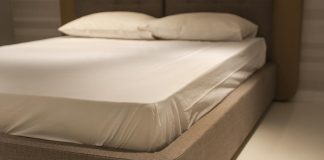 cimici da letto