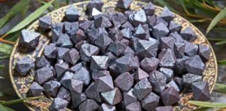 Magneti naturali