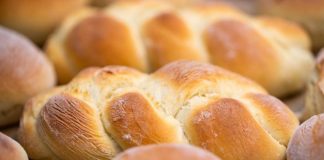 Pane