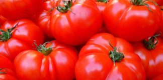 Pomodori